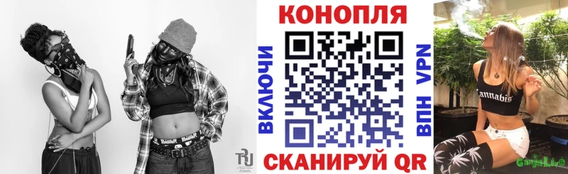 Галлюциногенные грибы Егорьевск