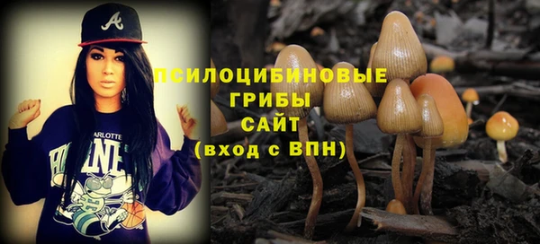первитин Алексеевка