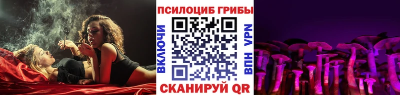 Псилоцибиновые грибы мицелий  где купить наркотик  hydra сайт  Егорьевск 